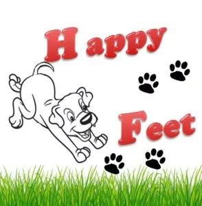 HappyFeet_ Logo